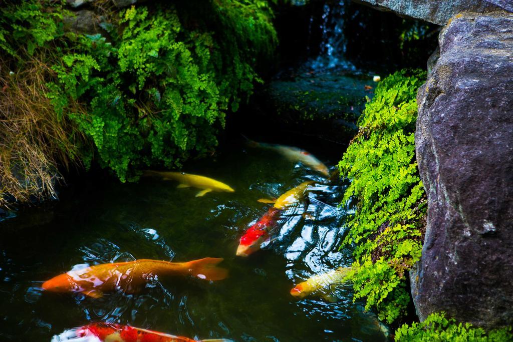 Sekitei Ryokan 3*